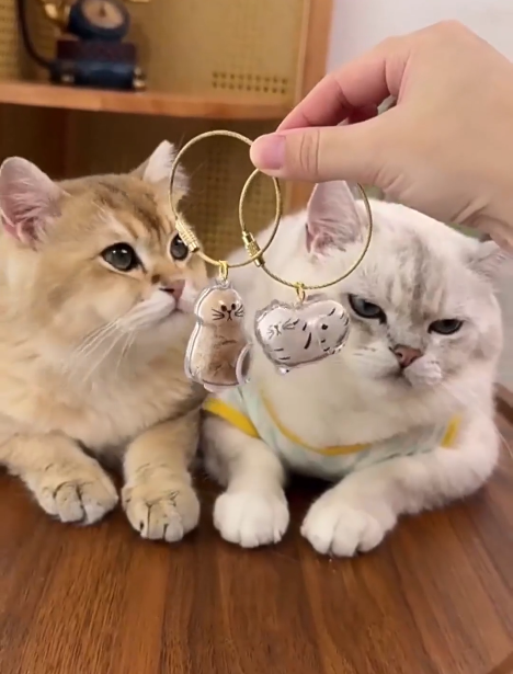 Two EternalPaw keychains held in front of cats