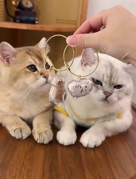 Two EternalPaw keychains held in front of cats